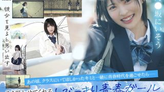 midv00862jp 3